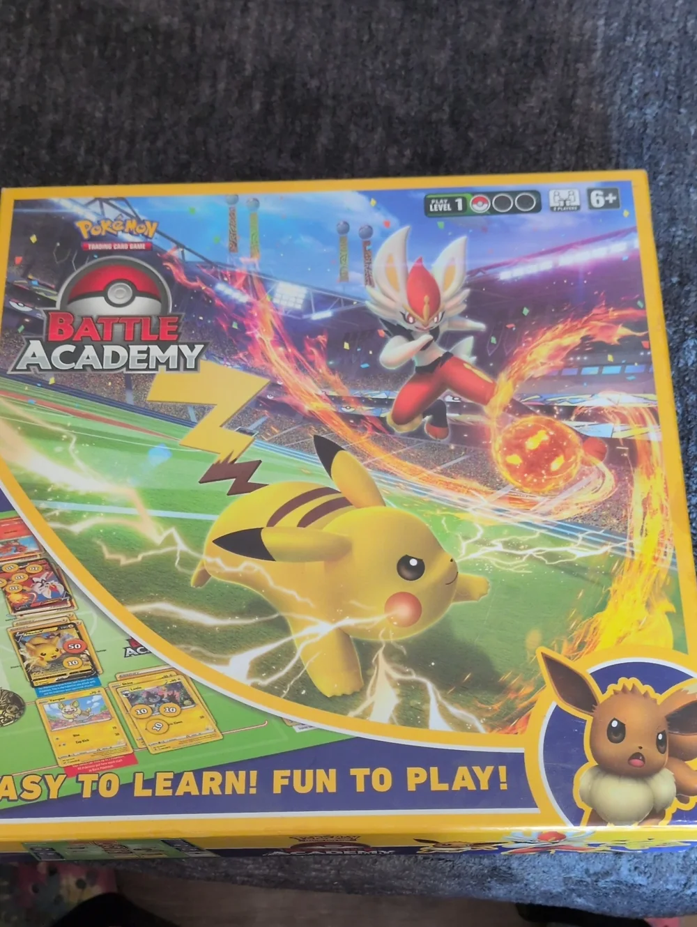 Pokemon Battle Academy